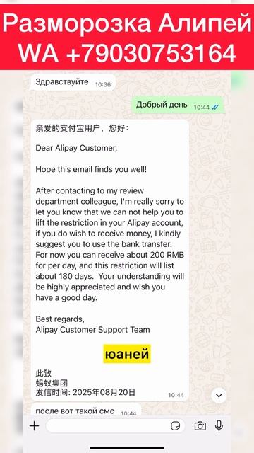 Как не написать глупость в поддержку Алипей #алипей #alipay смотреть онлайн