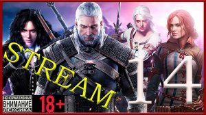 The Witcher 3: Wild Hunt ⚔14 Сплошные вопросы