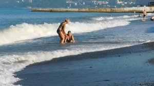 ВИДЕО  ПВН  ББ   (1502)