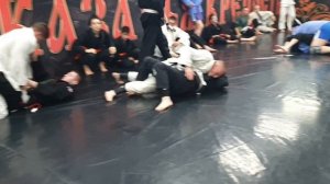 вечерние тренерские истории 29.12.2025