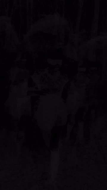 1230(6) смотреть онлайн