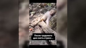 Видео от МЭН - Мне Это Нравится