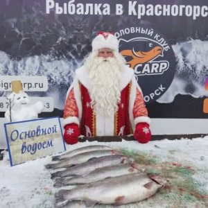 С Новым Годом