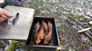 Завершающая рыбалка 2025! Варим уху! Коптим окуня!