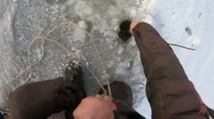 первая проверка жерлиц 2025