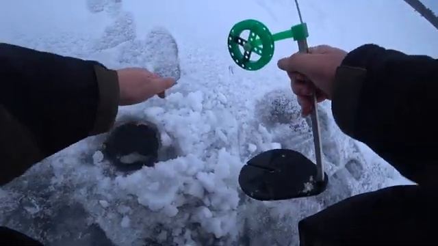 Открываюсь зубастой! Сезон 2025-26! смотреть онлайн