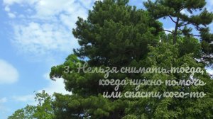 3. Нельзя снимать тогда, когда нужно помочь или спасти кого-то