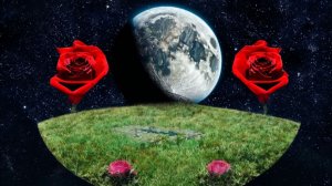 Квантовая механика