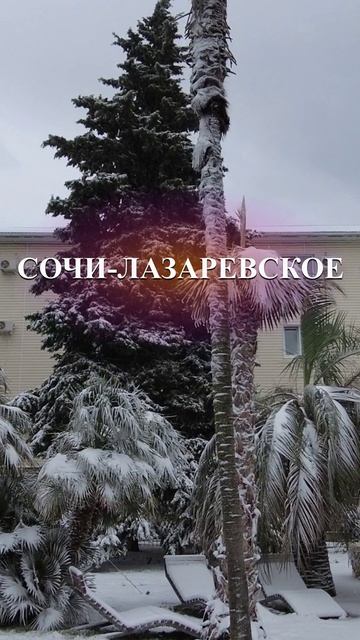Лазаревское Сочи, Сочи сегодня, Лазаревское сегодня, погода в лазаревском, где отдохнуть, Новый год смотреть онлайн