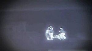 🎄🇷🇺🇺🇦В Новый год с чистого листа: группа всушников переплыла Днепр, чтобы сдаться…