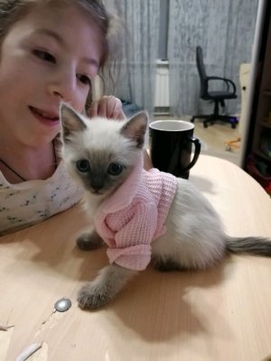 31 декабря с чупикхистори