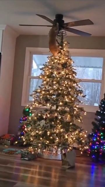 С Наступающим Новым Годом! 😸🌲🥰 смотреть онлайн