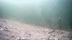 1000007021.mp4Волга гл.2м.31.12.2025г.