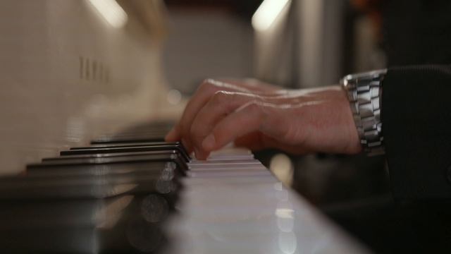 СнежинкиВалентин ЛакодинCigar Hall