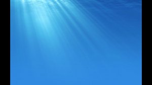 Как стать спокойнее?