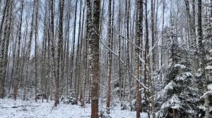 Ваша защита на весь 2026 год. Секретный ритуал.