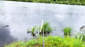 Ловлю рыбу на ЧЕРНОБЫЛЬСКОЙ реке УЖ ☢ Можно ли есть ры