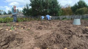 Копаем картофель.Ремонт веранды