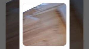 1000044222.mp4 (Собака смотрит на проектирование дома А-фрейм в графическом редакторе)