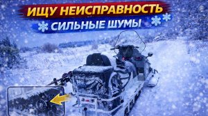 НЕПОНЯТНАЯ ВИБРАЦИЯ И ЧАСТОТНЫЙ ШУМ | Разбор и тест-драйв снегохода СМ-003