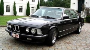 Салон для BMW E 23 Серия 7 . Дизайнер Руслан Мастеровой. Шпонирование Салона Авто .Собака в дереве