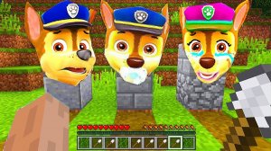 ЧТО ПРОИСХОДИТ С СЕМЬЕЙ ГОНЩИКА НА КЛАДБИЩЕ - ЩЕНЯЧИЙ ПАТРУЛЬ В МАЙНКРАФТЕ