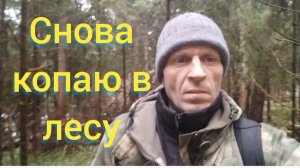 лесной коп,крайний в этом году
