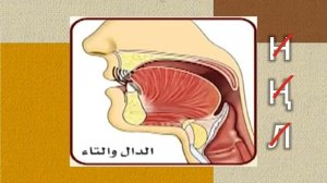 Ихфа, сокрытие نْ (нун) со звуками د، ت (даль, та). #коран