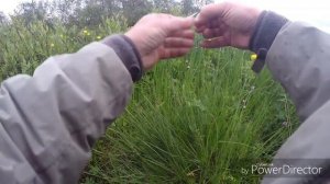 Вниз по реке...