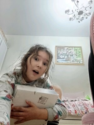 все шоколадки мира