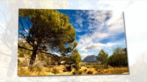 Textere Oris - Cosmo.sys