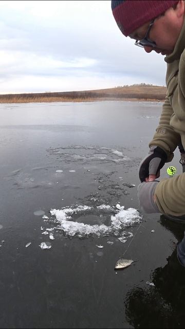 РЫБАЛКА НА ЖЕРЛИЦЫ 2025. #shorts #рыбалка #fishing #рыба #fish #эдвардкосичка #природа #nature #rest смотреть онлайн