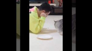 Видео от МЯУтаверс – как метавселенная, но с котами