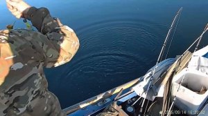 Якутия рыбалка с Дэном 14.09.2025 большая щука, таймень и окуни реки Алдан