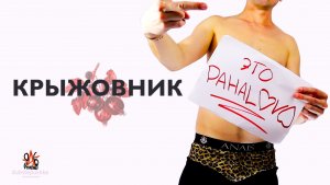 PAHALAVA - Крыжовник (Official Video)