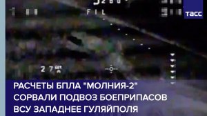 Расчеты БПЛА "Молния-2" сорвали подвоз боеприпасов ВСУ западнее Гуляйполя