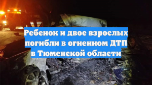 Ребенок и двое взрослых погибли в огненном ДТП в Тюменской области
