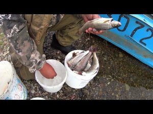 Рыбалка на Хариуса