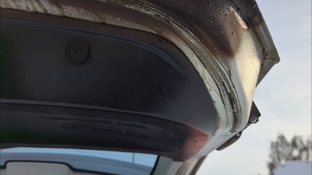 petal_20251231_140643.mp4