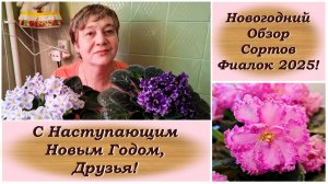 Новогодний Обзор Сортов Фиалок 2025! С Наступающим Новым Годом, Друзья!