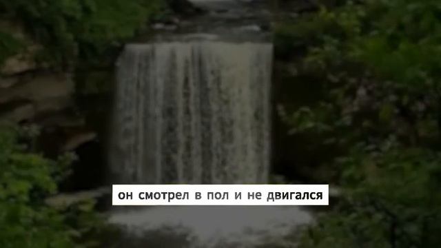 Не ходи ужинать с сыном», — сказал партнёр: правда о нё смотреть онлайн