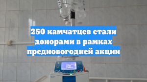 250 камчатцев стали донорами в рамках предновогодней акции
