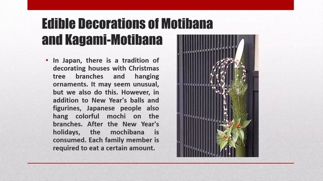 Ульяна из 8а представляет "Regional Features Japan"