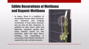 Еремина Ульяна из 8а представляет "Regional Features Japan"