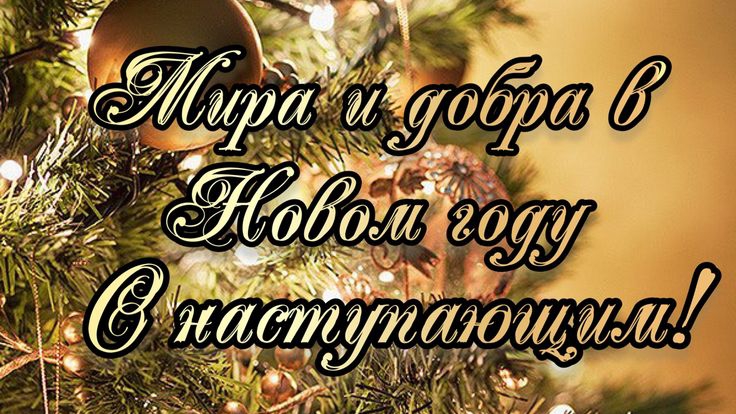 31-12-2025🌲С наступающим новым годом 🎄 Поздравление 💐 🎉🌲🌲🌲 смотреть онлайн