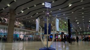 Аэропорт Пулково сохраняет штатный режим работы в условиях снегопада