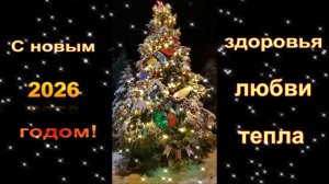 С Новым годом 2026. Видеопоздравление