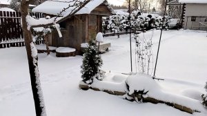 Зимний сад и украшение дома к празднику.