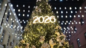 Новогоднее поздравление губернатора Ростовской области Ю.Б.Слюсаря