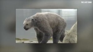 Вот почему вы бы не прожили и 15 минут в Ледниковый Период